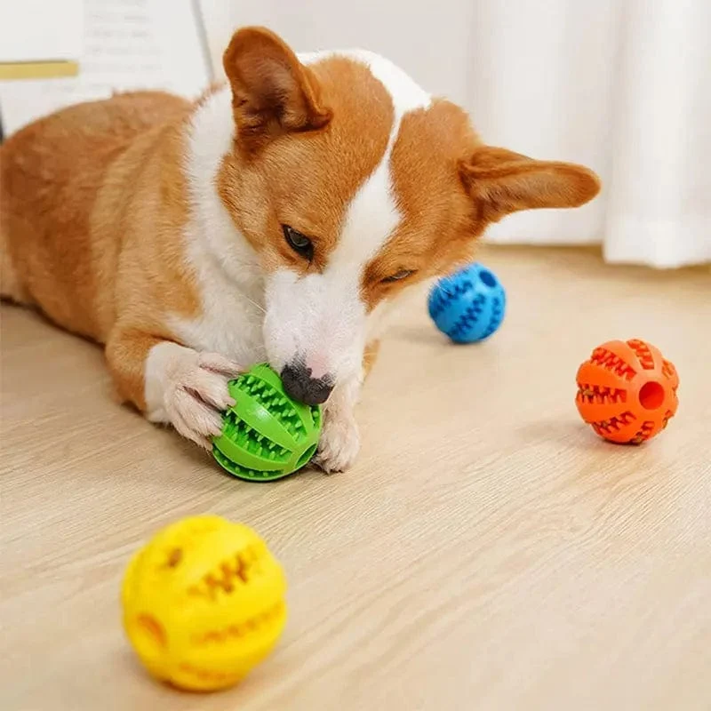 Balle à mâcher interactive pour chien – jeu et mastication