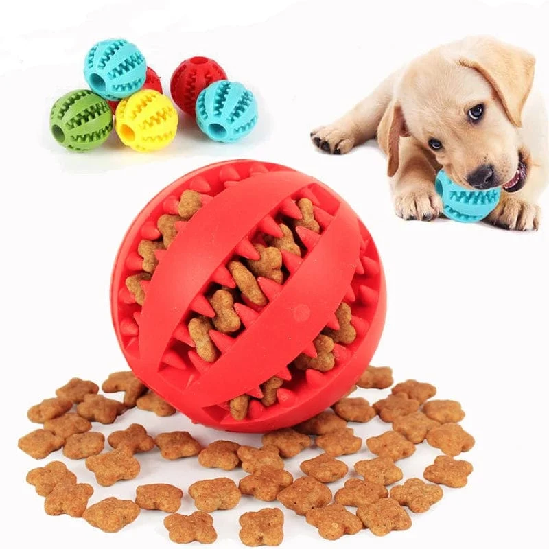 Balle à mâcher interactive pour chien – jeu et mastication