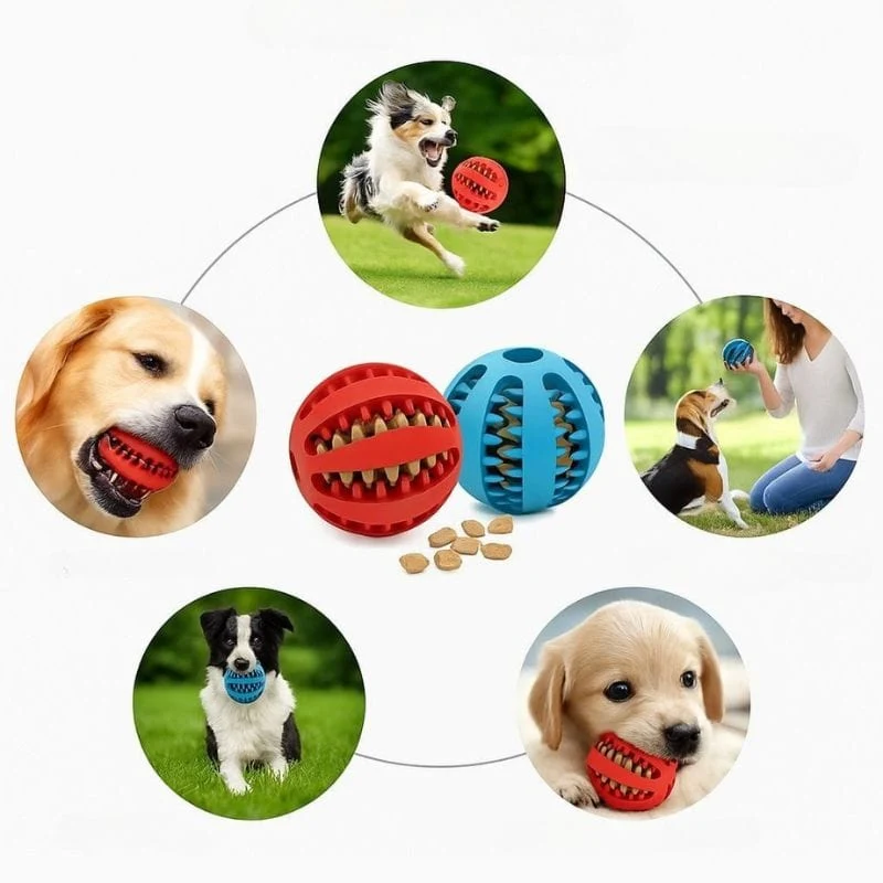 Balle à mâcher interactive pour chien – jeu et mastication