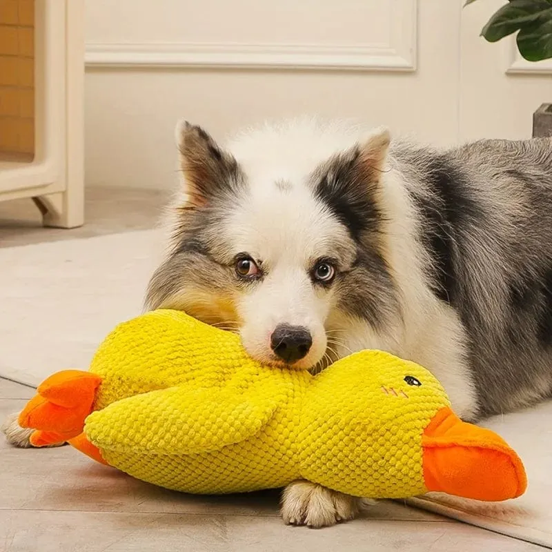 Canard Anti-Stress : Jouet Apaisant et Amusant !