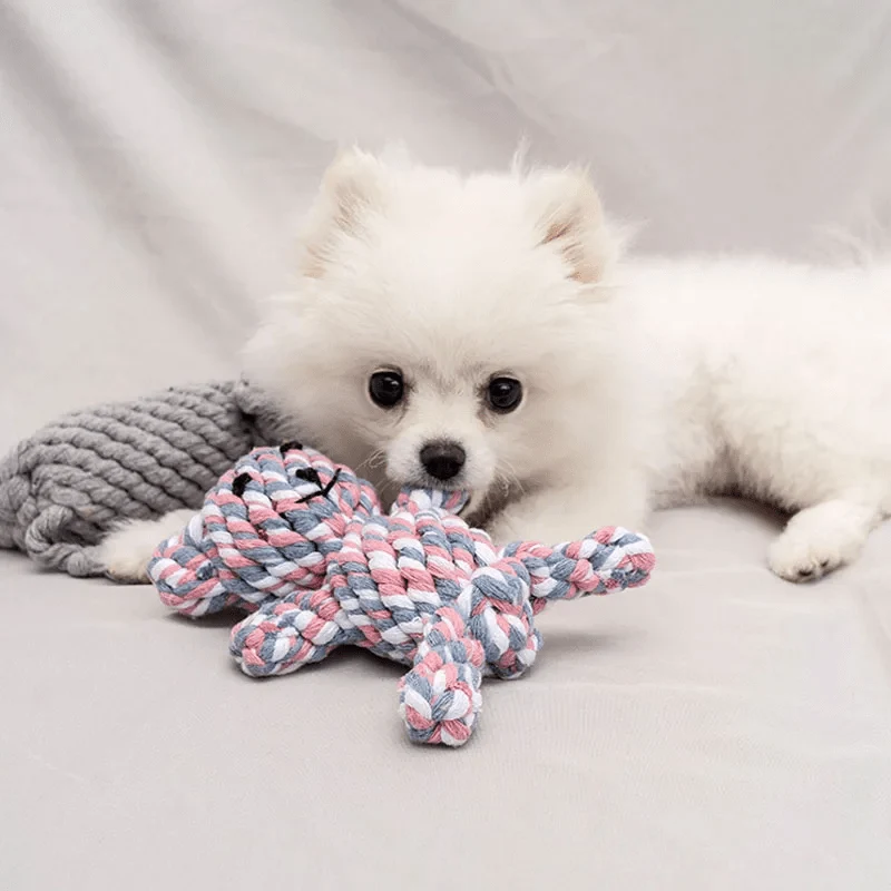 Jouet pour chien ultra résistant et amusant