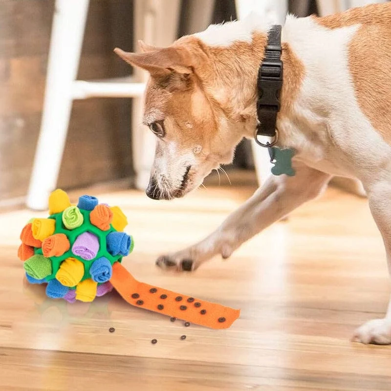 Balle à flair interactive pour chiens