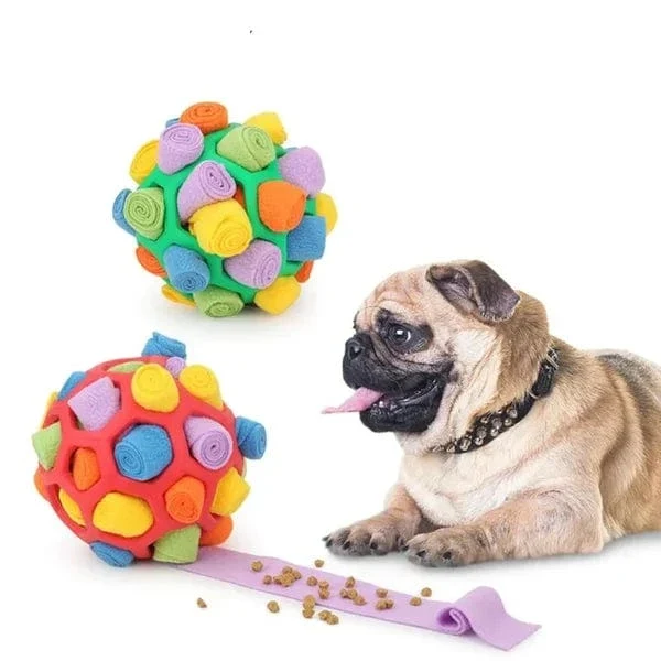 Balle à flair interactive pour chiens