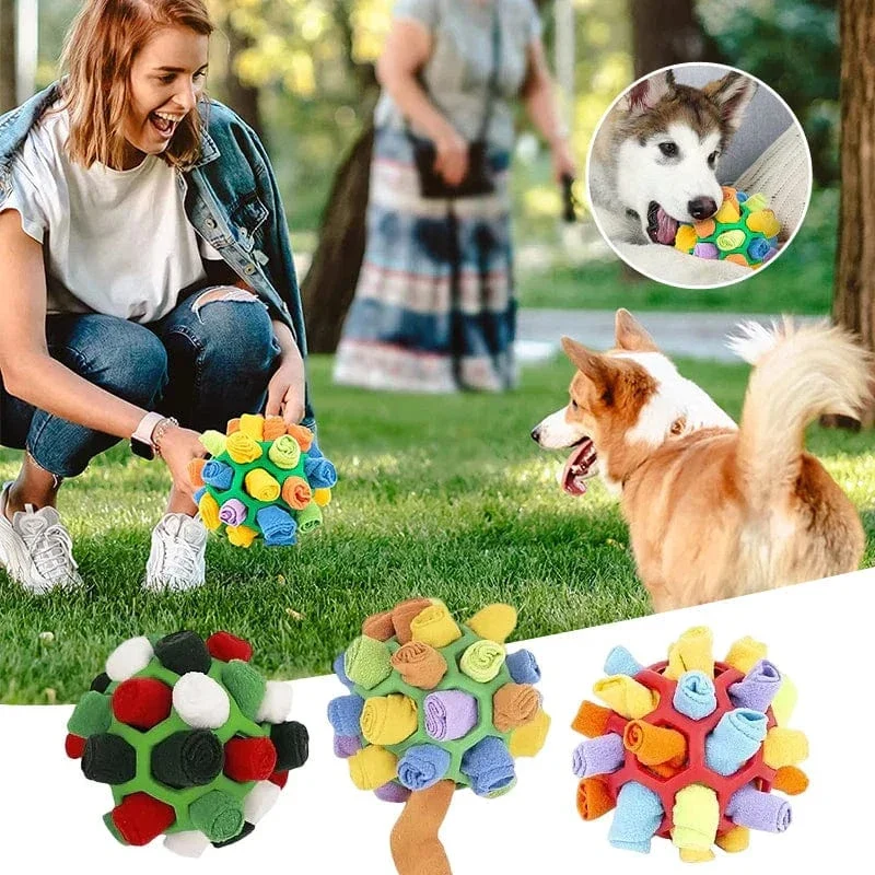 Balle à flair interactive pour chiens