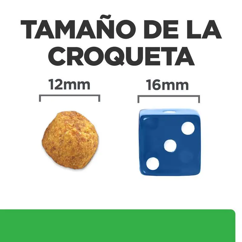 Hill'S R/D 10 kg - Pienso para Perros con Sobrepeso