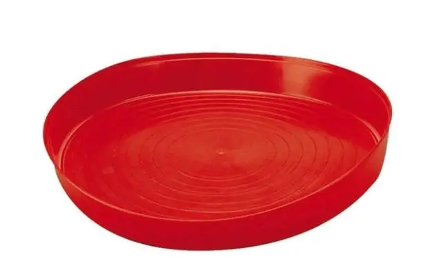 Plato Comedero 1ª Edad 40X5 cm