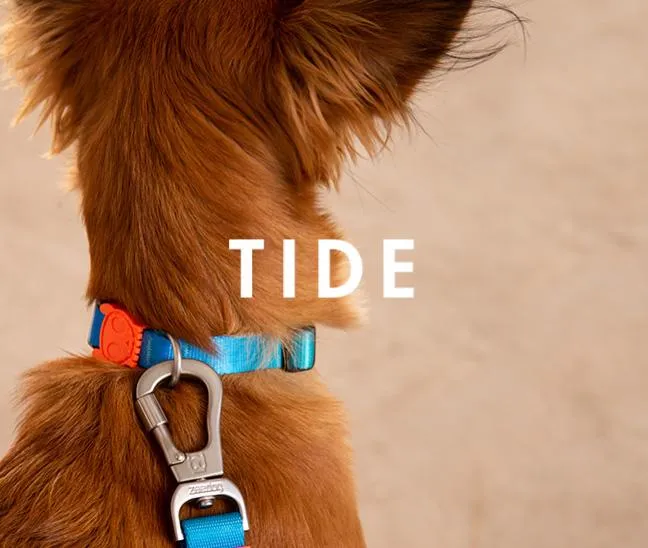 ZEE.DOG COLLAR TIDE