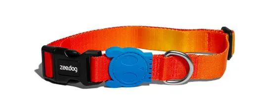 ZEE.DOG COLLAR SOLARIS