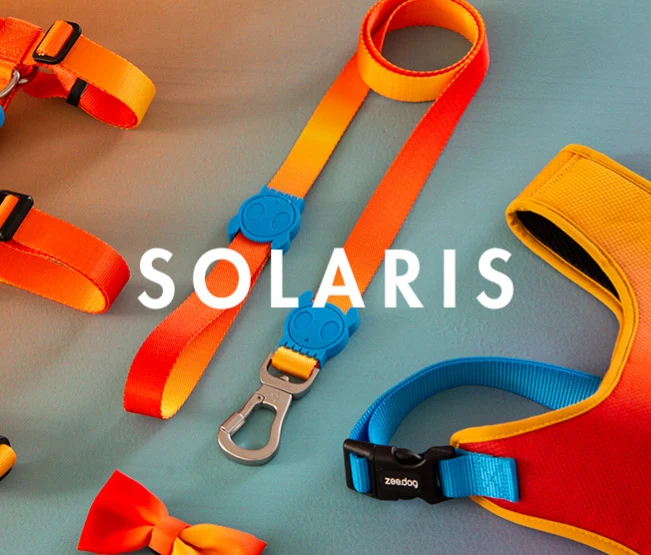 ZEE.DOG COLLAR SOLARIS