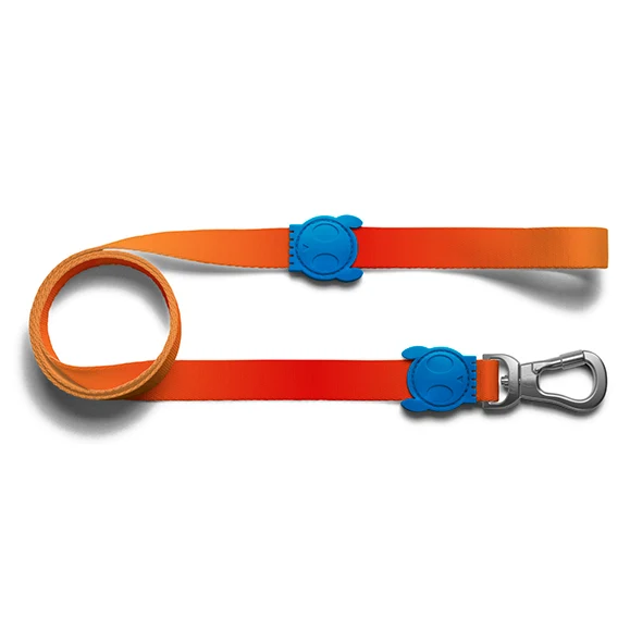 ZEE.DOG CORREA SOLARIS LEASH
