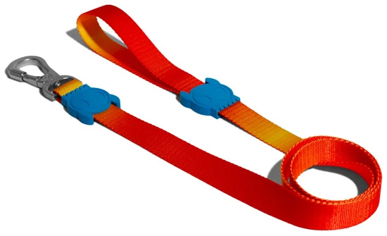 ZEE.DOG CORREA SOLARIS LEASH