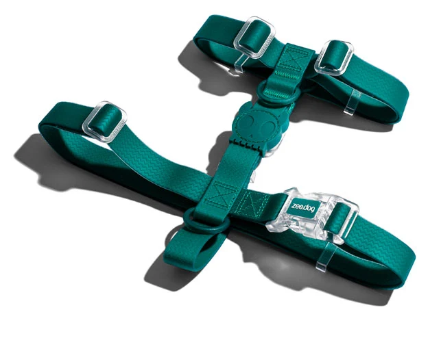 Zee.Dog Amazonia H Harness