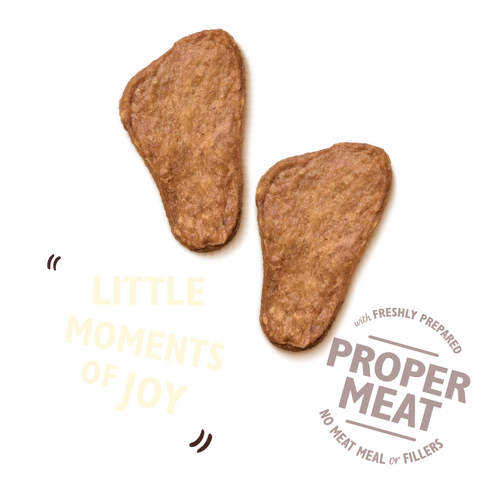 Lily´s Kitchen Glorius Chicken