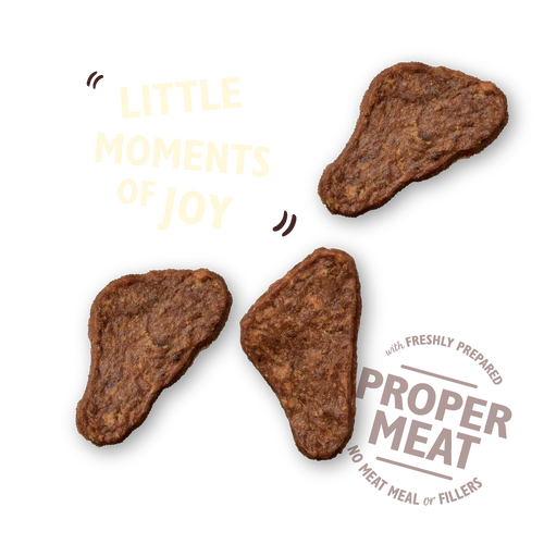 Lily´s Kitchen Duck Mini Jerky