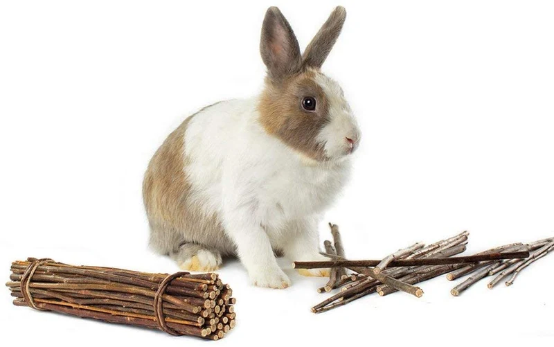 Niteangel Willow Mega Munch Sticks para conejos Chinchilla Guinea Pigs – Juguetes para masticar pequeños animales – 2 paquetes