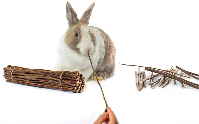 Niteangel Willow Mega Munch Sticks para conejos Chinchilla Guinea Pigs – Juguetes para masticar pequeños animales – 2 paquetes