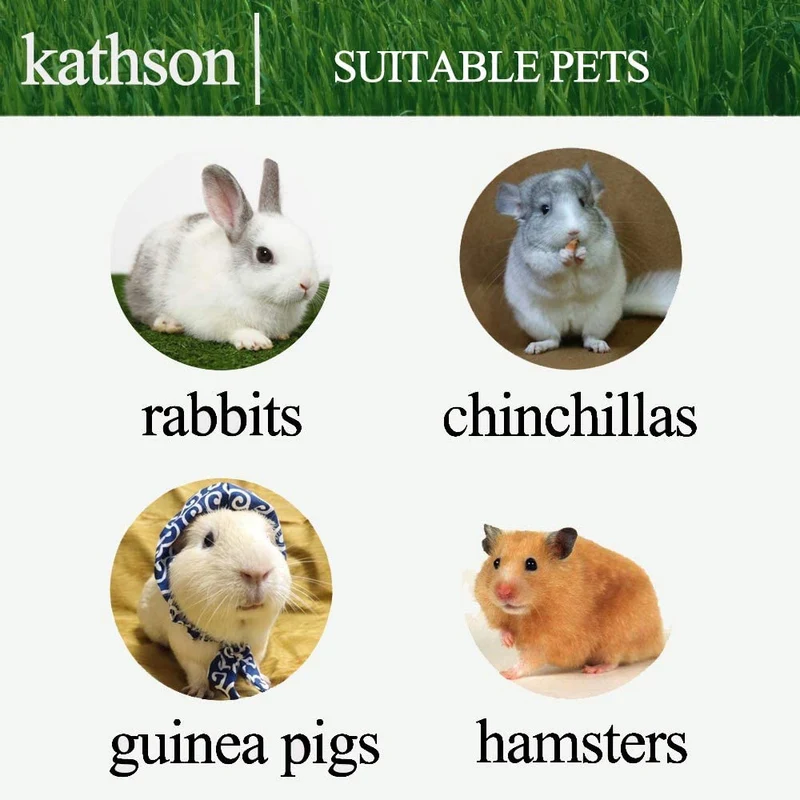 Juguetes para masticar los dientes, chinchilla trata palos de bambú orgánicos naturales de manzana para conejos, cobayas, hámsters (2 unidades)