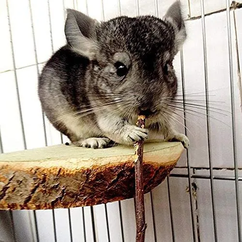 maitaitai 100 G/300 G/500G Natural Apple Palillos mascota aperitivos Masticar Juguetes para conejillos de Indias Chinchilla Ardilla conejos Hamster Cobayas