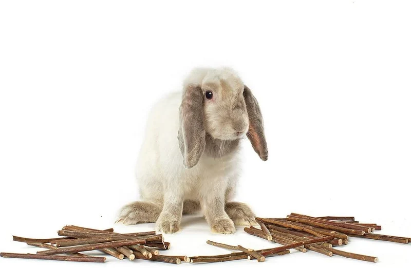 Niteangel masticable Natural palos para chinchillas, Conejillos de Indias, hamsters, conejos, loros y otros animales pequeños