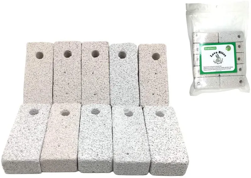 Shelltech - Puntas de lava para hámster, juguete para masticar y masticar