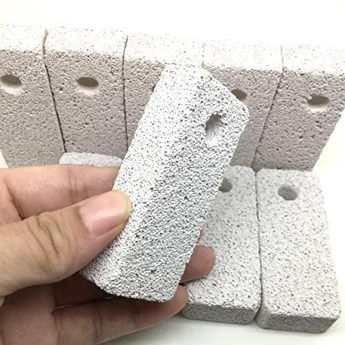 Shelltech - Puntas de lava para hámster, juguete para masticar y masticar