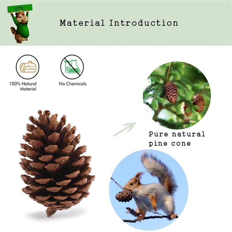 Juguetes para masticar de hámster, juguete molar para dientes de manzana natural, juguetes para masticar animales para pájaros, conejos, conejos, gerbils, cobayas, ratas, chinchillas, paquete de 8.