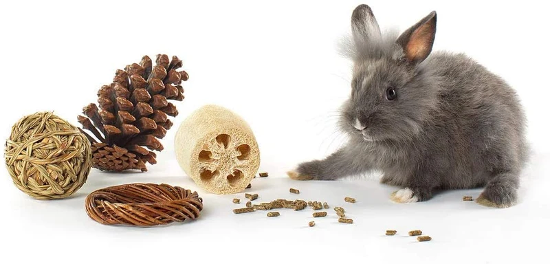 Niteangel 4-Pack de divertido y seguro juguetes para animales pequeños