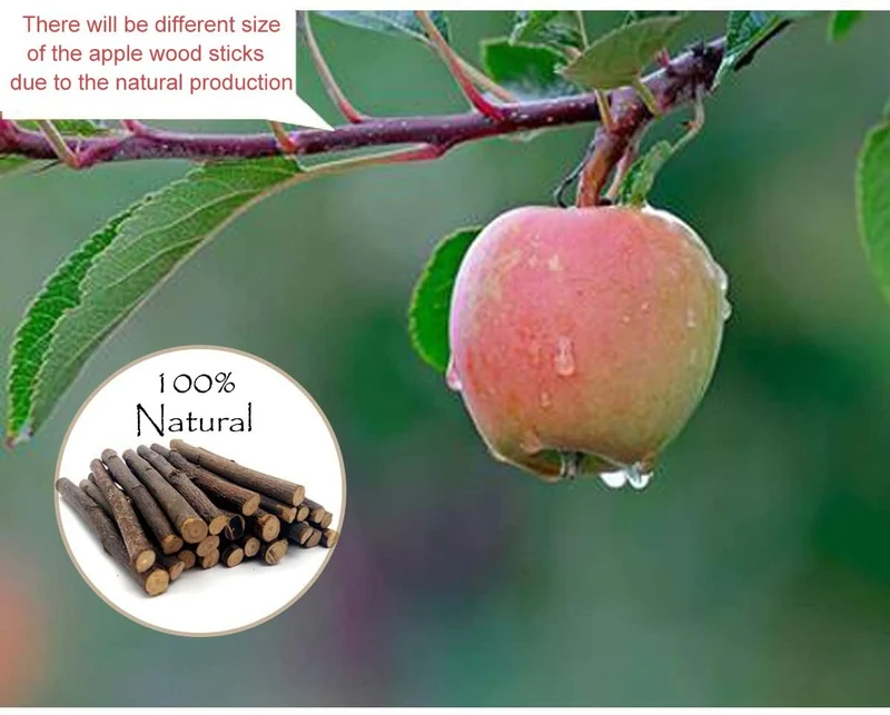 500 G (17.6oz) orgánico Apple de incienso madera ramas de árboles mascota aperitivos Masticar Juguetes rama para conejillos de Indias Chinchilla Ardilla para conejos, Hámsters animales pequeños