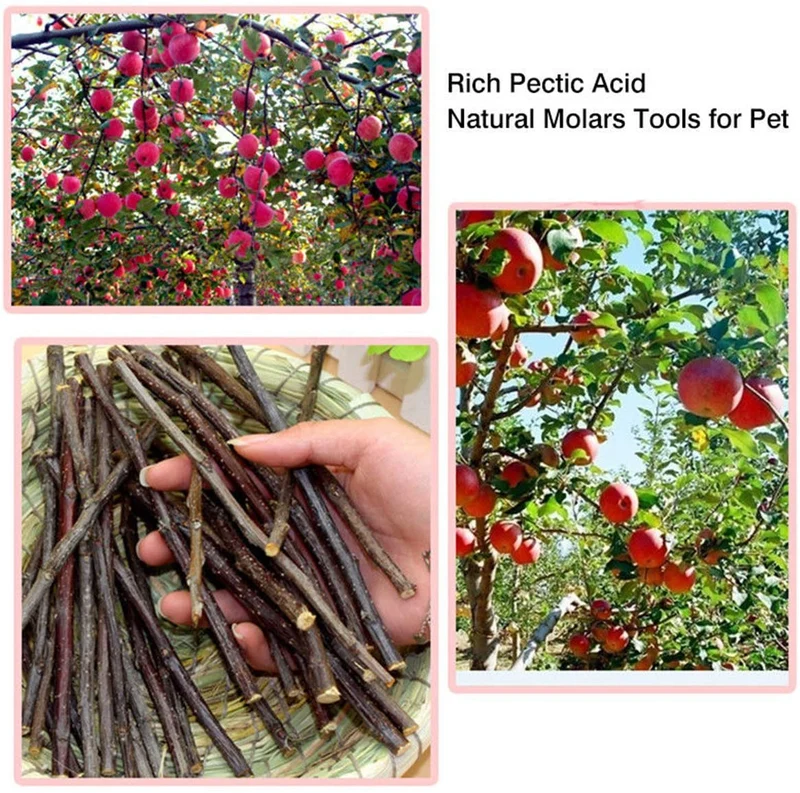 500 G (17.6oz) orgánico Apple de incienso madera ramas de árboles mascota aperitivos Masticar Juguetes rama para conejillos de Indias Chinchilla Ardilla para conejos, Hámsters animales pequeños