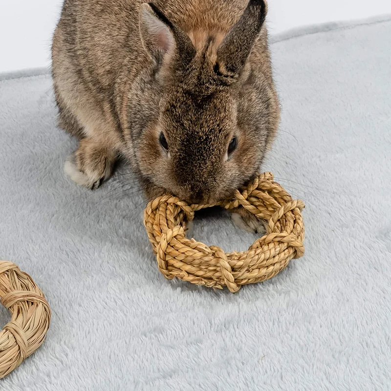Niteangel 3-unidades de masticable Natural anillo para animales pequeños