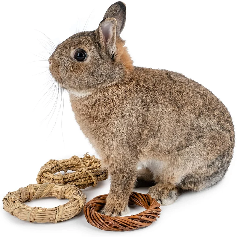 Niteangel 3-unidades de masticable Natural anillo para animales pequeños