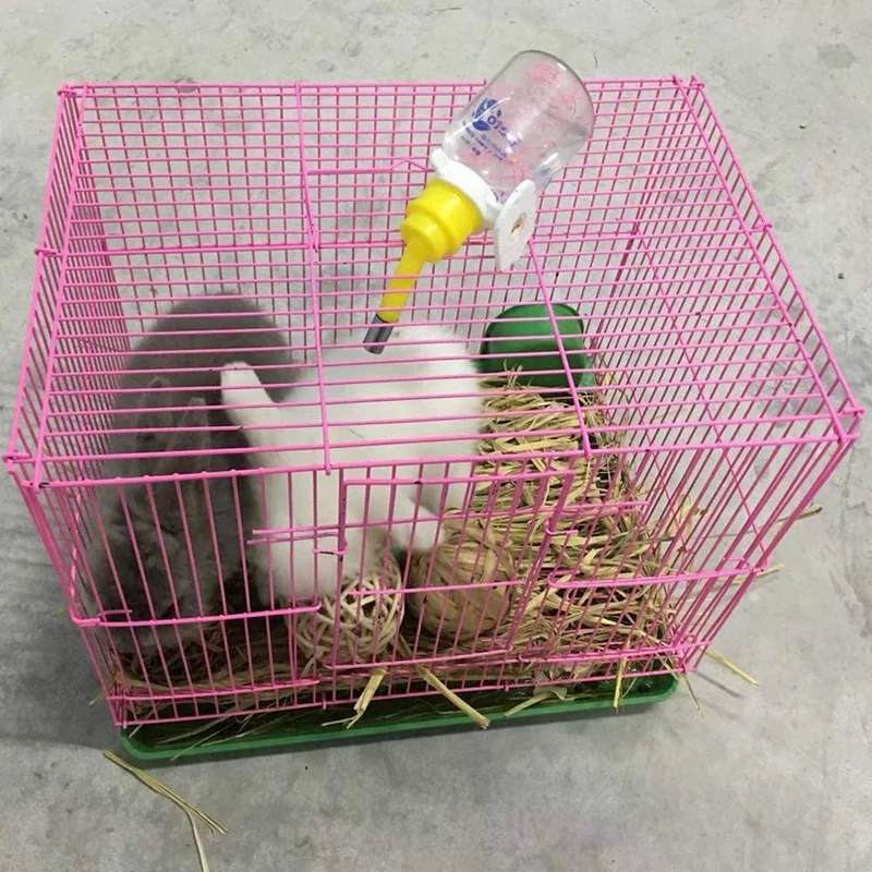 PIVBY Juguete de actividad para animales pequeños, juguetes de masticar para conejos, conejos, cobayas, gérbiles, 4 unidades