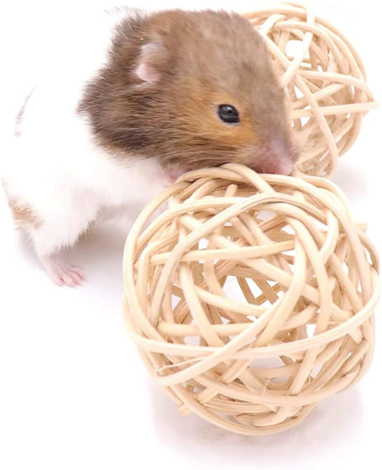 PIVBY Juguete de actividad para animales pequeños, juguetes de masticar para conejos, conejos, cobayas, gérbiles, 4 unidades