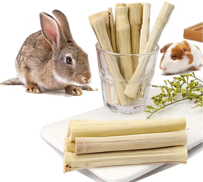Dbeans Flourithing - Varillas para masticar de 3.53 oz de conejillos de India, Toys, Bambú dulce natural para dientes limpios y encías saludables, mascotas ya no muerden sus casas, para conejos, hámster, pájaro, etc.