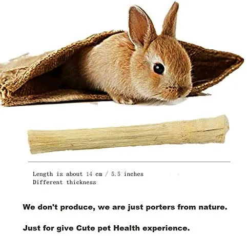 Dbeans Flourithing - Varillas para masticar de 3.53 oz de conejillos de India, Toys, Bambú dulce natural para dientes limpios y encías saludables, mascotas ya no muerden sus casas, para conejos, hámster, pájaro, etc.