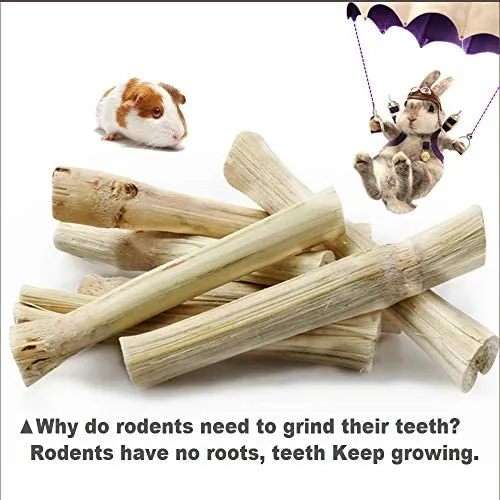 Dbeans Flourithing - Varillas para masticar de 3.53 oz de conejillos de India, Toys, Bambú dulce natural para dientes limpios y encías saludables, mascotas ya no muerden sus casas, para conejos, hámster, pájaro, etc.