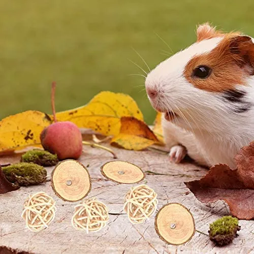 S-Mecánico Conejo Masticar Juguetes Naturales de Manzana Pequeños Animales Juguetes para Masticar Conejos Chinchilla Hámsters Cobayas Gerbils