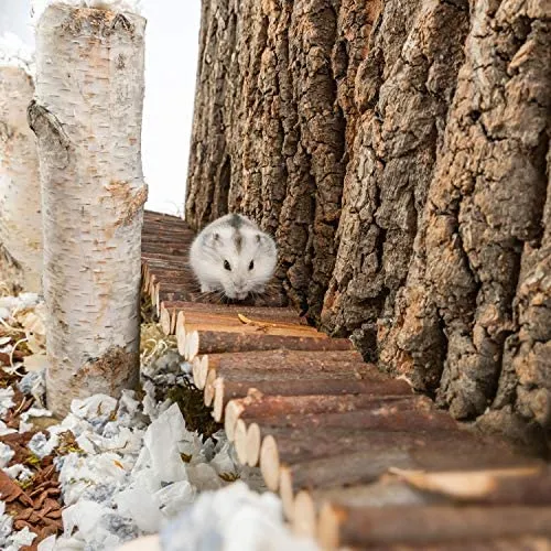 Niteangel Hamster Suspension Bridge Toy: Escalera de escalada larga para hámster sirio enano, ratones, gérmenes y otros animales pequeños
