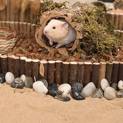 Niteangel Hamster Suspension Bridge Toy: Escalera de escalada larga para hámster sirio enano, ratones, gérmenes y otros animales pequeños