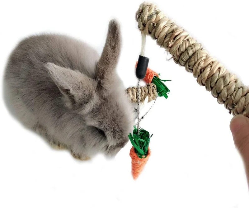 Hamiledyi Bunny divertido árbol conejo juguete masticable con forma de zanahoria Playpen