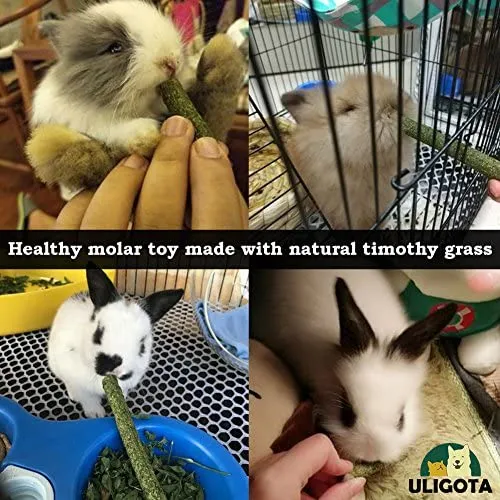 ULIGOTA Timothy - Palos de hámster para masticar hámster