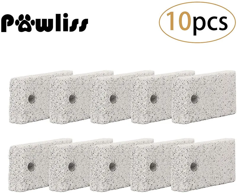 Pawliss - Bloque de lava para hámster Chinchilla conejo