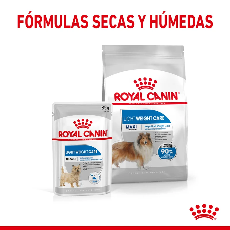 Royal Canin Maxi Light Weight Care Pienso para Perros