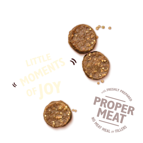Lily´s Kitchen Chicken Bites
