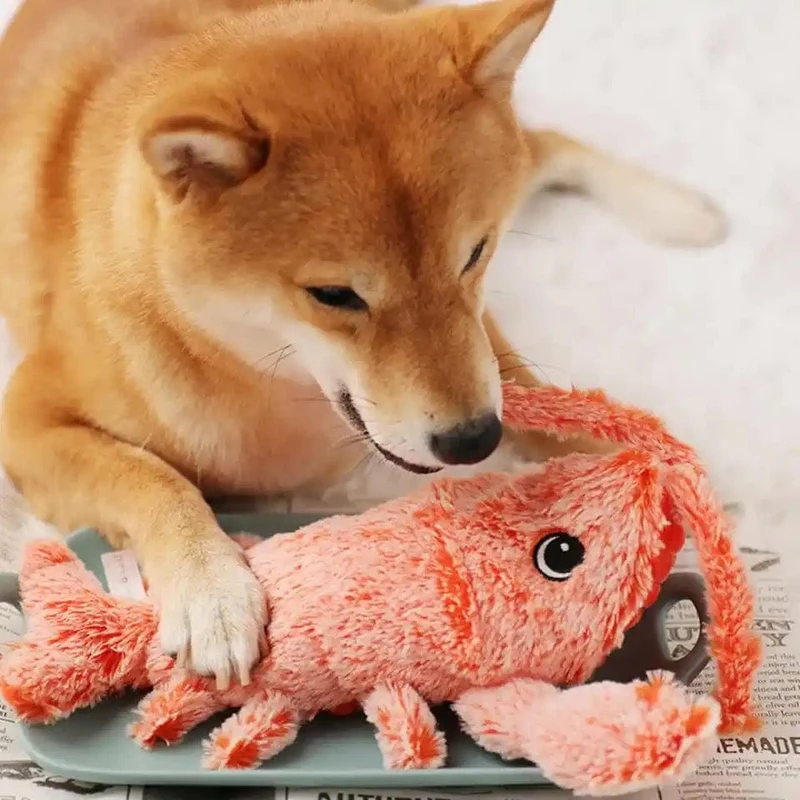 Homard Vibrant : Jouet Interactif pour Chien