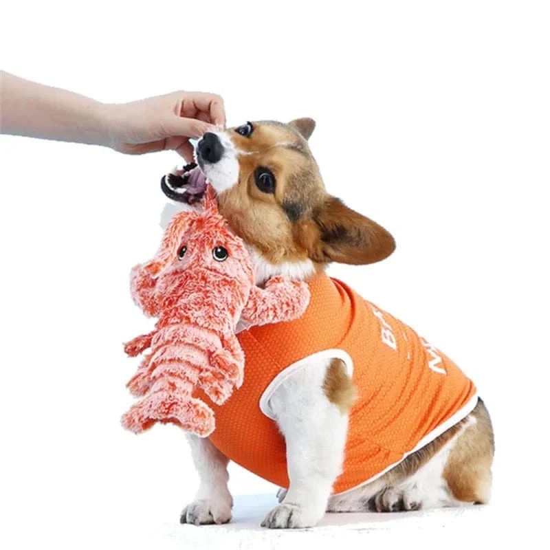 Homard Vibrant : Jouet Interactif pour Chien