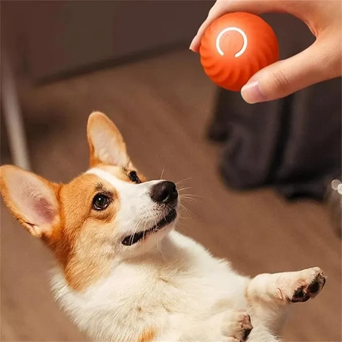 Balle Interactive Auto-Roulante pour Chiens