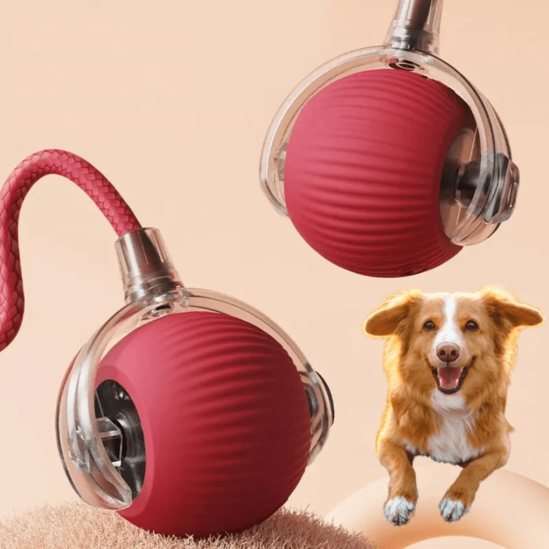 Balle Interactive pour Chiens Actifs