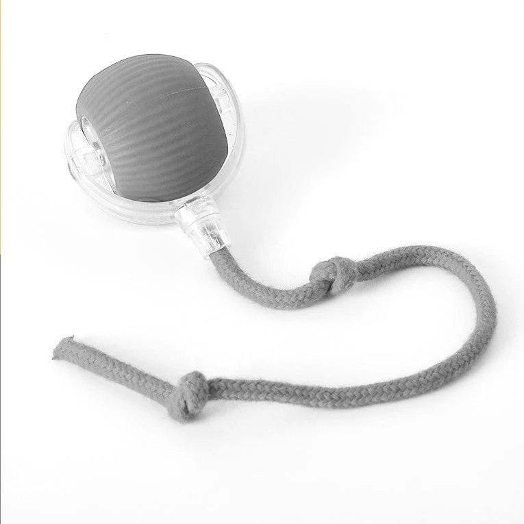 Balle Interactive pour Chiens Actifs