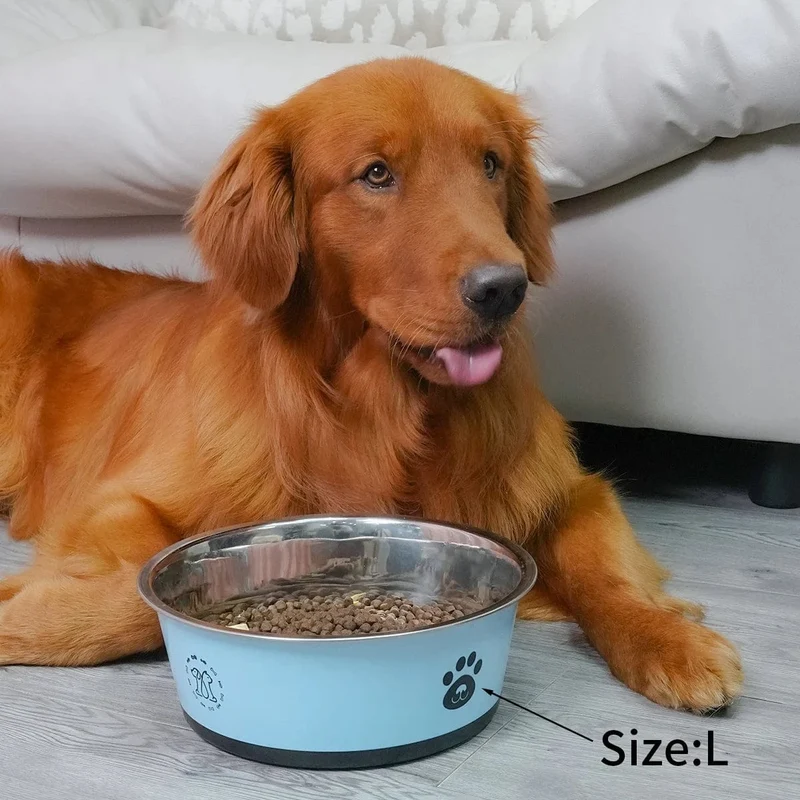 Gamelle chien antidérapante en acier inoxydable